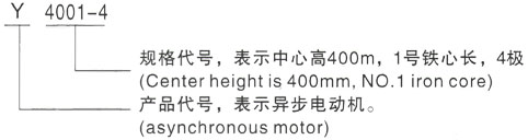 西安泰富西玛Y系列(H355-1000)高压YE2-315L2-6三相异步电机型号说明