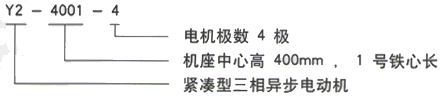 YR系列(H355-1000)高压YE2-315L2-6三相异步电机西安西玛电机型号说明